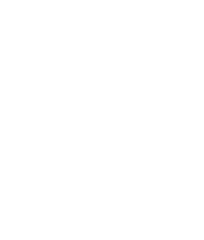 Travelers Choice